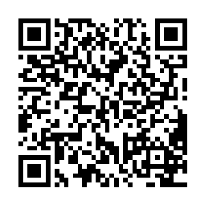 娇羞的仿佛是一个几乎都没有跟男孩子打过交道的姑娘二维码生成