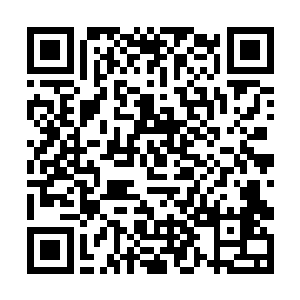 娑娜也是有着很久的时间没有见过了要说娑娜不想念二维码生成