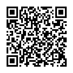 娘的居然告诉我白河谷地的马文男爵是个手无缚鸡之力的人二维码生成