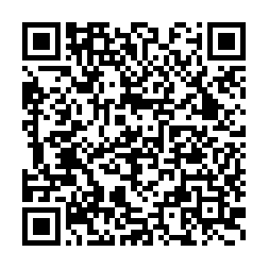 娜塔莎分明看见里面坐着的四个男女已经开了右侧车门躲到街道上二维码生成