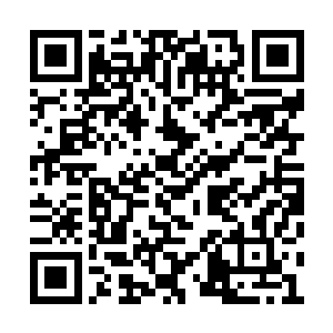 娜塔莎却从架起的瞄准镜里开始挨个儿阅读表情二维码生成