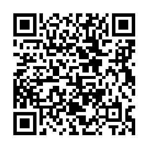 娜塔莎指着叙利亚跟这两块战斗区域交接的东北部二维码生成