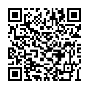 娜拉和贝蕾都是他以莎莉为蓝本幻想出来的人物二维码生成