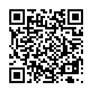 娥眉带着宫女们从一早便忙碌着分类整理二维码生成