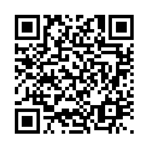 娱乐产品中的书籍一消失在界面当中二维码生成