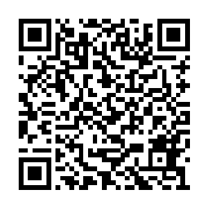 娱记们的相机闪光灯追逐着每位到场的明星名人二维码生成