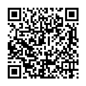 婆婆前些日子让府里的绣娘给你做了十几身新衣呢二维码生成