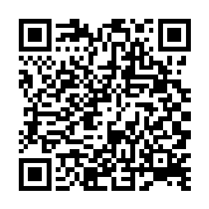 婉君想这几个月不过是过的太充实太滋润太轻松惬意了二维码生成