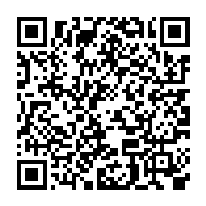 婉宁还记得那些人为了逃跑将路边的孩子当做沙包丢给侯爷的情形二维码生成