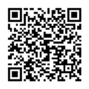 婚前还同床共枕做了爱做的事……唔……虽然因为都喝醉了二维码生成