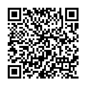 婚庆公司的工作人员将新娘捧花送到了薄荷手中二维码生成