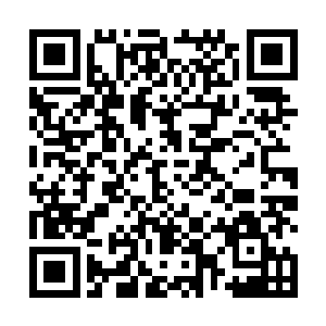 婴儿脸植物无力地伸着藤蔓想要去勾动慕容仙儿的手指二维码生成