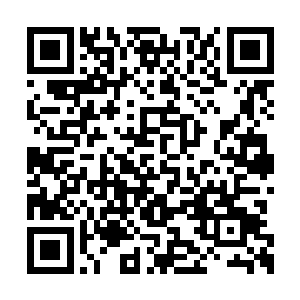 婵儿娟儿杏儿不时过来问他自己的灯做得怎么样二维码生成