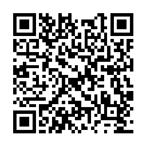 婷儿见凉亭旁边的荷花上趴伏着一只很漂亮的蝴蝶二维码生成