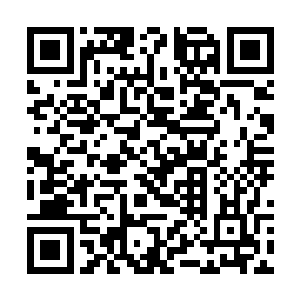 婷婷是不是经常在你面前提起我这个倔强的老头子呀二维码生成