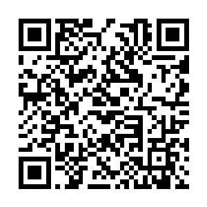 媒体席上的不少中国记者和德国记者都在摇头叹气二维码生成