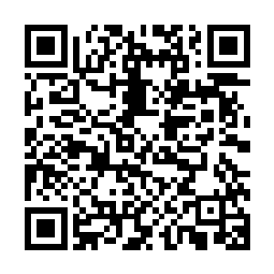 媒体报纸上说的什么现象级电影根本不可能发生在木乃伊身上二维码生成