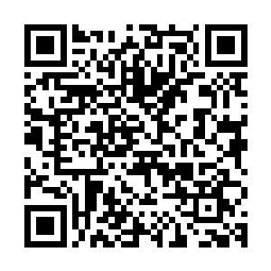 嬷嬷你跟我说过全正羽答应将许氏生的第二个儿子上许家的族谱二维码生成