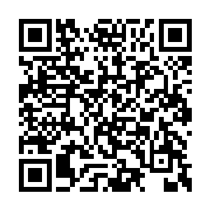 子女在父母的羽翼之下是不可能真正成长起来的二维码生成