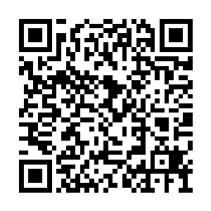 子弹很有可能在打烂墙角的砖头后击中他的脖子二维码生成