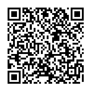 子目光瞥了眼已经消失在楼梯口处的那几名身份来头大的有些吓人的世家弟子二维码生成