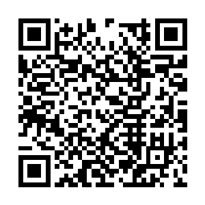 孔先生不应该再以对待一个孩子的方式去对待太子二维码生成