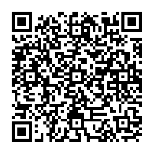 孔祥新和聂空还是答应了他们先前许诺的个人真传的进入演武楼和藏经阁的特殊待遇二维码生成