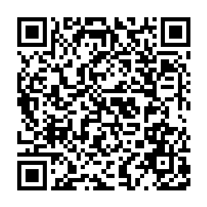 孔雀山的林平也不会是林铭的对手了――甚至可能根本用不了一年二维码生成