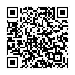 孕灵之体可以说也是天地间的一种十分特殊的体质二维码生成