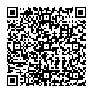 孕灵之体的炼丹师炼制的丹药无路时成功率还是炼制丹药的品质都要比一般的炼丹师强大不少二维码生成