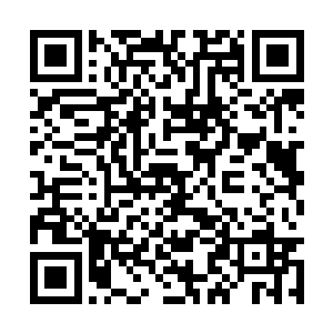 字后就成为了无数青春期惨绿少年们的必修课之一二维码生成