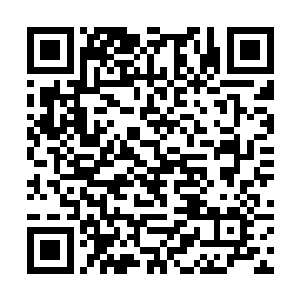 字里行间内根本就没有拿出什么证据来替那些人开脱二维码生成