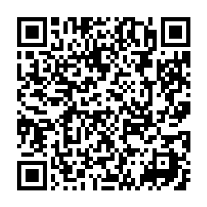 字里行间表露出来的意思都告诉苏凡肯定还有更强的生化人的存在二维码生成
