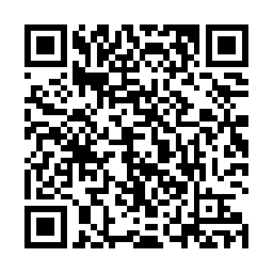 存储在丹田气海当中的所有能量全部被困龙升天柱吸收二维码生成