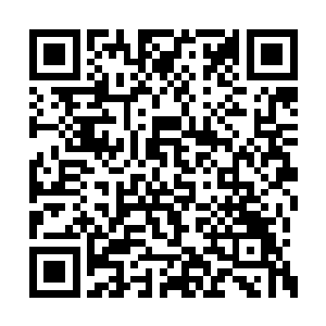 存在于支离破碎的灵网和千疮百孔的晶脑残骸中二维码生成