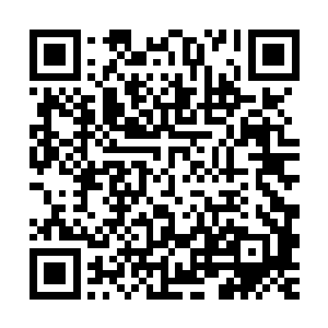 存真之舟这座神级凡境的法器的力量一下子都被叶枫聚集了起来二维码生成