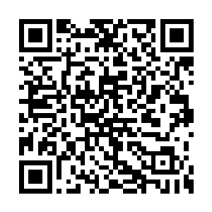 孙佩这个小没良心的已经把姐姐的秘密给出卖了二维码生成