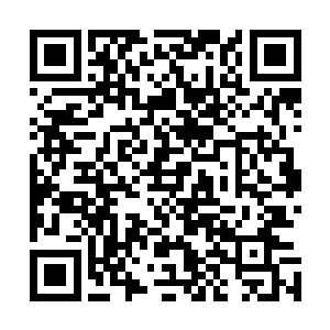 孙几家的势力或许比起当年项藉的鼎盛时期尚且还有所不及二维码生成