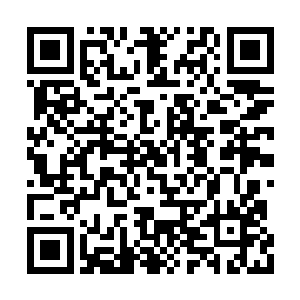 孙婆婆听到吟月的话之后脸上的表情更加的疑惑二维码生成