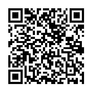 孙嬷嬷因为严肃而显得有些刻薄的脸上划过一丝无奈二维码生成