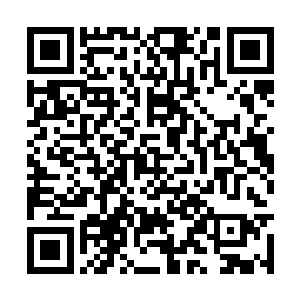 孙嬷嬷的眼眸在对上世子那双冰到彻骨的眼眸之时二维码生成