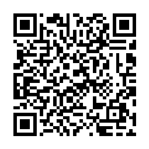 孙子轩一个瞬间移动站在了黑色毒蟒那大得惊人的脑袋上二维码生成