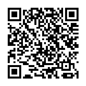 孙子轩他们这些从伪仙界来到神魔战场的九境仙医二维码生成