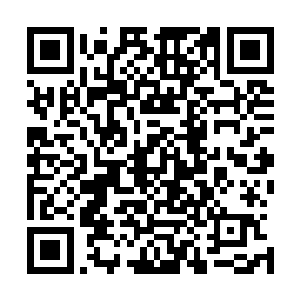 孙子轩以前在络上看过不少玄幻也看过欧美和龙有关的电影二维码生成