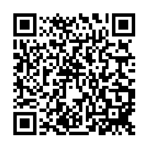 孙子轩估计这恐怕也是杨晓芸选择离开隐杀门的原因之一吧二维码生成
