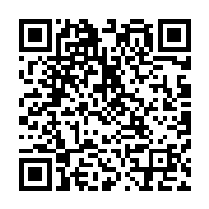 孙子轩体内的阳力在子轩心法的疯狂运转下全力调动了起来二维码生成