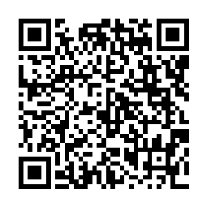 孙子轩使用透视之术估计了一下从这里到道医裁判所的距离二维码生成
