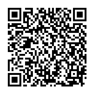 孙子轩兴冲冲的拉着张晨晨来到了距离帐篷二十分钟路程的翡翠面板前二维码生成