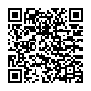 孙子轩刚开始还挺担心落到自己塑料盘子里面的蛋糕不会有多少二维码生成