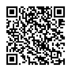 孙子轩却轻松惬意的宛如是在自家后花园散步一样二维码生成